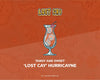 THE 'LOST CAY' HURRICANE (HURRICAYNE)